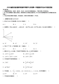 2026届四川省成都市树德中学数学七年级第一学期期末学业水平测试试题含解析