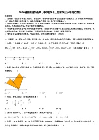 2026届四川省乐山第七中学数学七上期末学业水平测试试题含解析