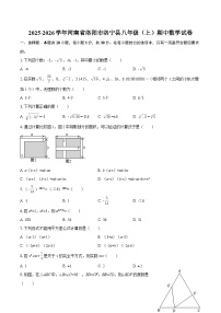2025-2026学年河南省洛阳市洛宁县八年级（上）期中数学试卷-自定义类型