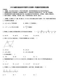 2026届四川省宜宾中学数学七年级第一学期期末检测模拟试题含解析