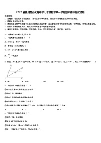 2026届四川营山化育中学七年级数学第一学期期末达标测试试题含解析