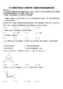 2026届泰安市泰山区七年级数学第一学期期末质量跟踪监视模拟试题含解析