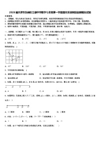 2026届天津市东丽区立德中学数学七年级第一学期期末质量跟踪监视模拟试题含解析
