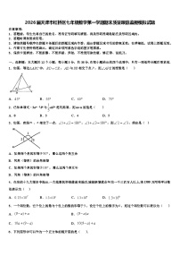 2026届天津市红桥区七年级数学第一学期期末质量跟踪监视模拟试题含解析