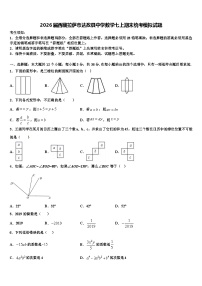 2026届西藏拉萨市达孜县中学数学七上期末统考模拟试题含解析