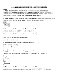 2026届下期湖南岳阳市城区数学七上期末学业质量监测试题含解析