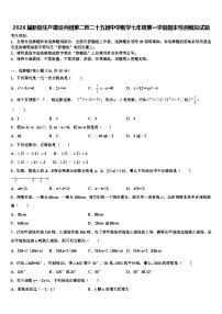 2026届新疆生产建设兵团第二师二十五团中学数学七年级第一学期期末检测模拟试题含解析