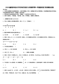 2026届新疆乌鲁木齐市沙依巴克区七年级数学第一学期期末复习检测模拟试题含解析