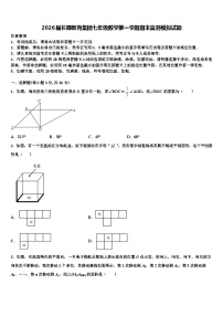 2026届长郡教育集团七年级数学第一学期期末监测模拟试题含解析