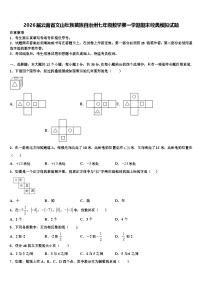 2026届云南省文山壮族苗族自治州七年级数学第一学期期末经典模拟试题含解析