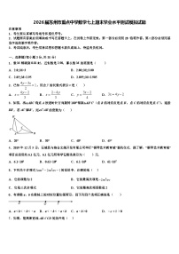 2026届苏州市重点中学数学七上期末学业水平测试模拟试题含解析