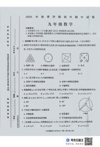 河南省周口市鹿邑县2025-2026学年九年级上学期期中考试数学试卷