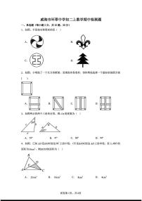 山东省威海市环翠中学2025-2026学年 八年级上学期期中数学试卷