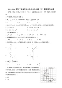 2025-2026学年广东省茂名市化州市八年级（上）期中数学试卷（有答案和解析）