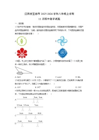 2025-2026学年江西省宜春市八年级上学期11月期中数学试题（学生版）