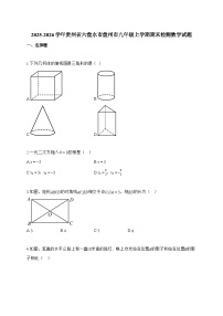 2025~2026学年贵州省六盘水市盘州市九年级上学期期末检测数学试卷【附解析】