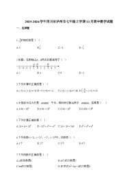 2025~2026学年四川省泸州市七年级上学期11月期中数学试卷【附解析】
