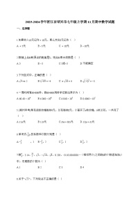 2025~2026学年浙江省绍兴市七年级上学期11月期中数学试卷【附解析】
