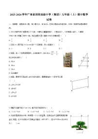 2025-2026学年广东省深圳高级中学（集团）九年级（上）期中数学试卷-自定义类型