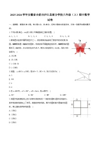 2025-2026学年安徽省合肥市庐江县部分学校八年级（上）期中数学试卷