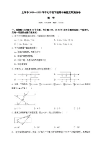 上海市2024—2025学年七年级数学下册期中真题实战演练卷（原卷版 解析版）-沪教版五四制初中数学七下