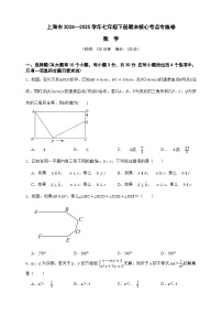 上海市2024—2025学年数学七年级下册期末核心考点专练卷（原卷版 解析版）-沪教版五四制初中数学七下