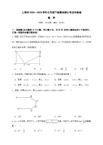 上海市2024—2025学年数学七年级下册期末核心考点专练卷（原卷版 解析版）-沪教版五四制初中数学七下