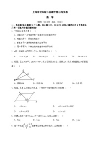 上海市数学七年级下册期中复习闯关卷（原卷版 解析版）-沪教版五四制初中数学七下