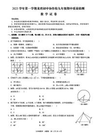 浙江省温州市龙湾区2025-2026学年第一学期九年级期中数学质量检测卷（含答案）