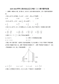 2025-2026学年上海市金山区九年级（上）期中数学试卷（含答案）
