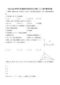 2025-2026学年江苏省徐州市邳州市九年级（上）期中数学试卷-自定义类型