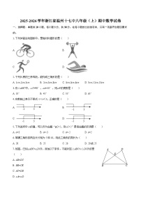 2025-2026学年浙江省温州十七中八年级（上）期中数学试卷-自定义类型