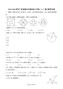 2025-2026学年广东省惠州市惠东县九年级（上）期中数学试卷