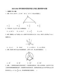 广东省深圳市深圳外国语学校2025-2026学年九年级上学期期中考试数学试题