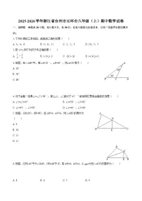 2025-2026学年浙江省台州市玉环市八年级（上）期中数学试卷-自定义类型