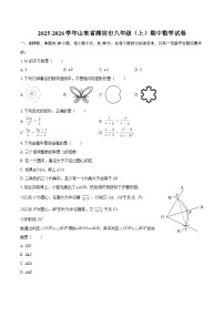 2025-2026学年山东省潍坊市八年级（上）期中数学试卷-自定义类型