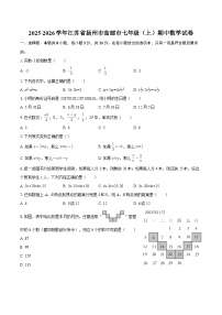 2025-2026学年江苏省扬州市高邮市七年级（上）期中数学试卷-自定义类型