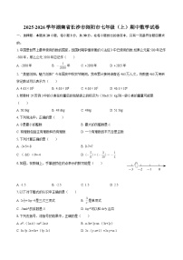 2025-2026学年湖南省长沙市浏阳市七年级（上）期中数学试卷-自定义类型