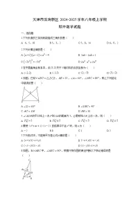 天津市滨海新区2024-2025学年八年级上学期期中数学试卷（学生版）