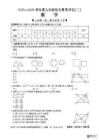 河南省周口市项城市2025-2026学年九年级上学期11月综合评估二数学试卷（月考）