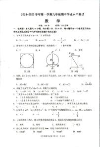 江苏省宿迁市泗阳县2024-2025学年九年级上学期11月期中数学试题