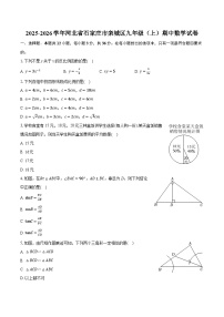 2025-2026学年河北省石家庄市栾城区九年级（上）期中数学试卷