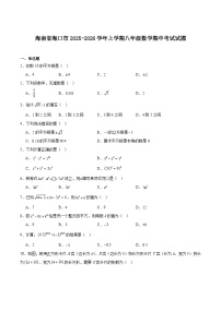 海南省海口市2025-2026学年八年级上学期期中考试数学试卷（含答案）