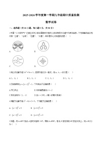 广东省珠海市香洲区五校联考2026届九年级上学期11月期中考试数学试卷（含答案）