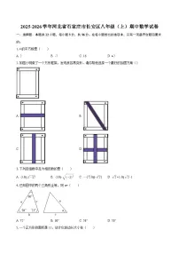 2025-2026学年河北省石家庄市长安区八年级（上）期中数学试卷-自定义类型