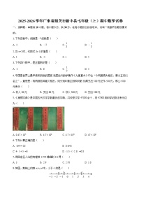 2025-2026学年广东省韶关市新丰县七年级（上）期中数学试卷-自定义类型