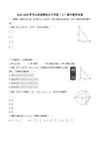 2025-2026学年山东省潍坊市九年级（上）期中数学试卷-自定义类型