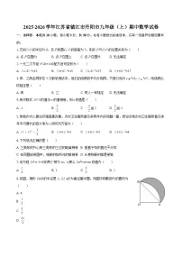 2025-2026学年江苏省镇江市丹阳市九年级（上）期中数学试卷-自定义类型