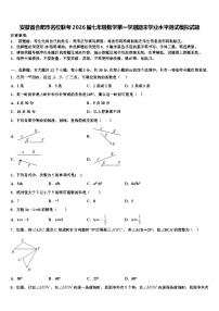 安徽省合肥市名校联考2026届七年级数学第一学期期末学业水平测试模拟试题含解析