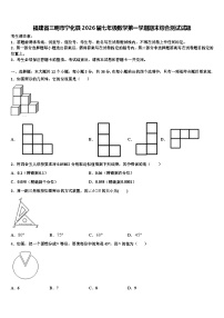 福建省三明市宁化县2026届七年级数学第一学期期末综合测试试题含解析